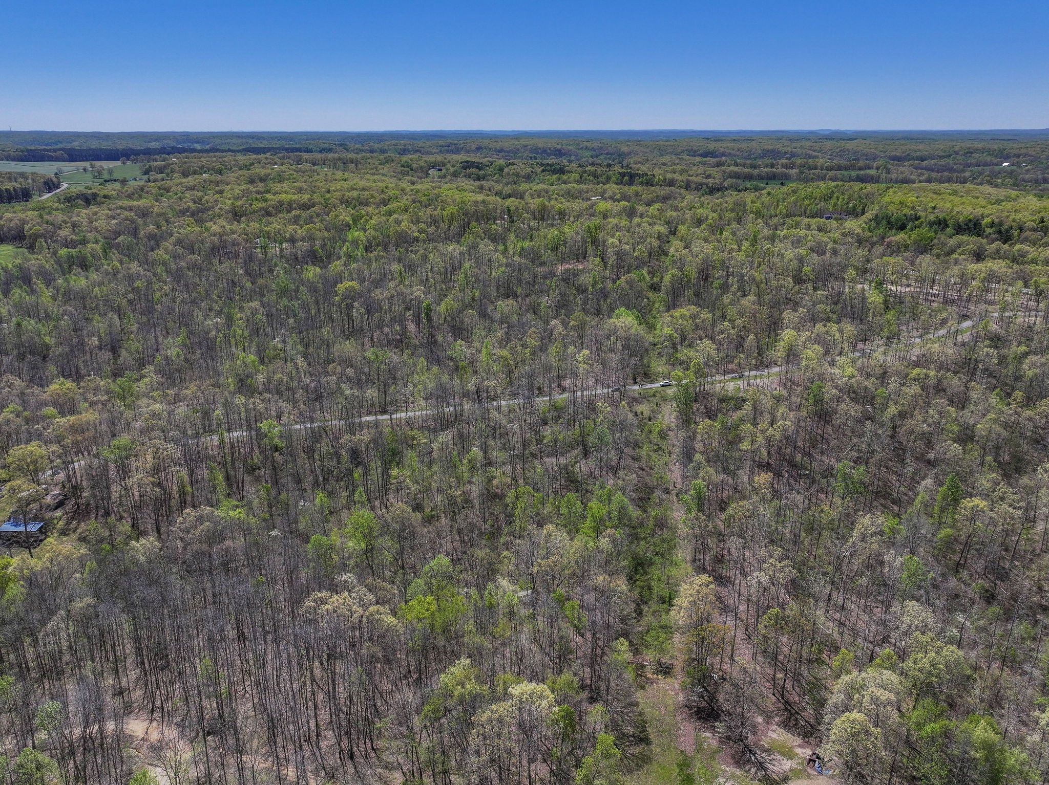 0 Slaughter Road Santa Fe, TN 38482 - Photo 5 of 7