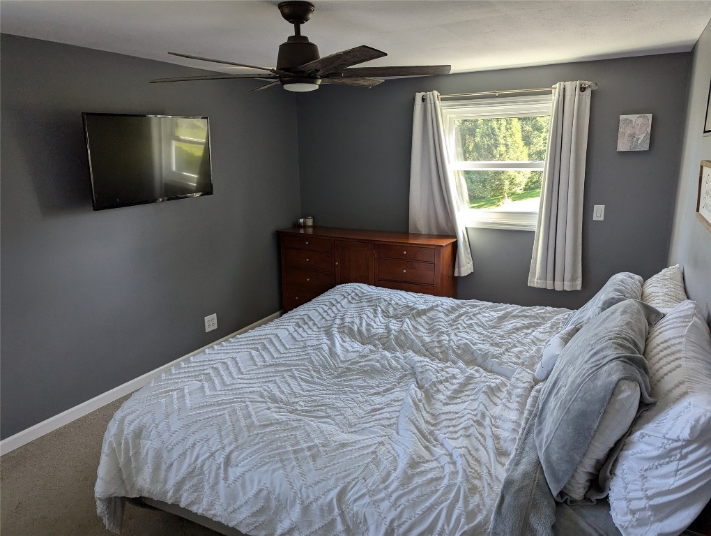 78 Mason Road Vestal, NY 13850 - Photo 28 of 50