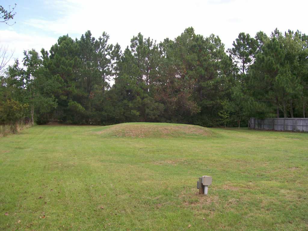 9573 Taylor Field Road Jacksonville, FL 32222 - Photo 9 of 9 rear property