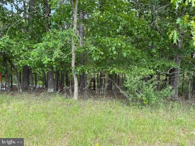 $229,000 | Lot 2 Red Oak Road, Cross Junction, VA 22625