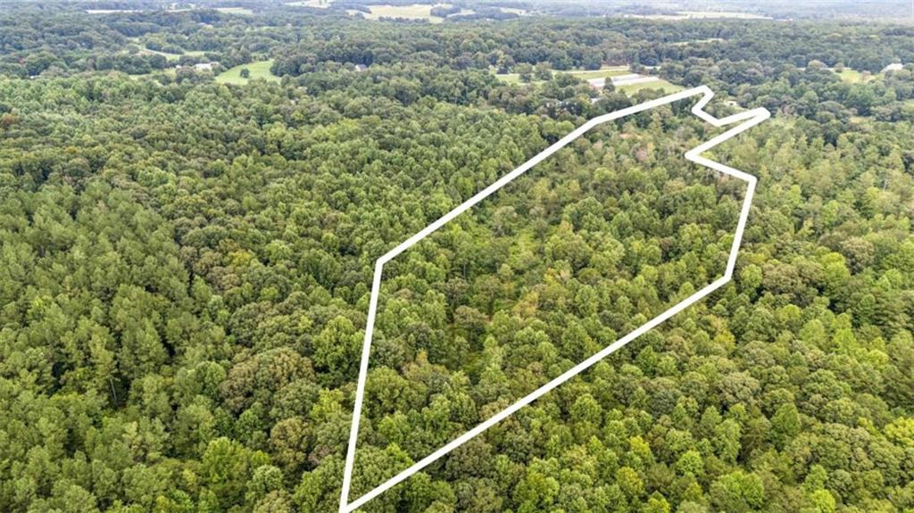 176 Whitetail Trail Jefferson, GA 30549 - Photo 3 of 10