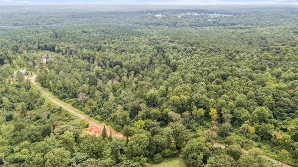 176 Whitetail Trail Jefferson, GA 30549 - Photo 9 of 10