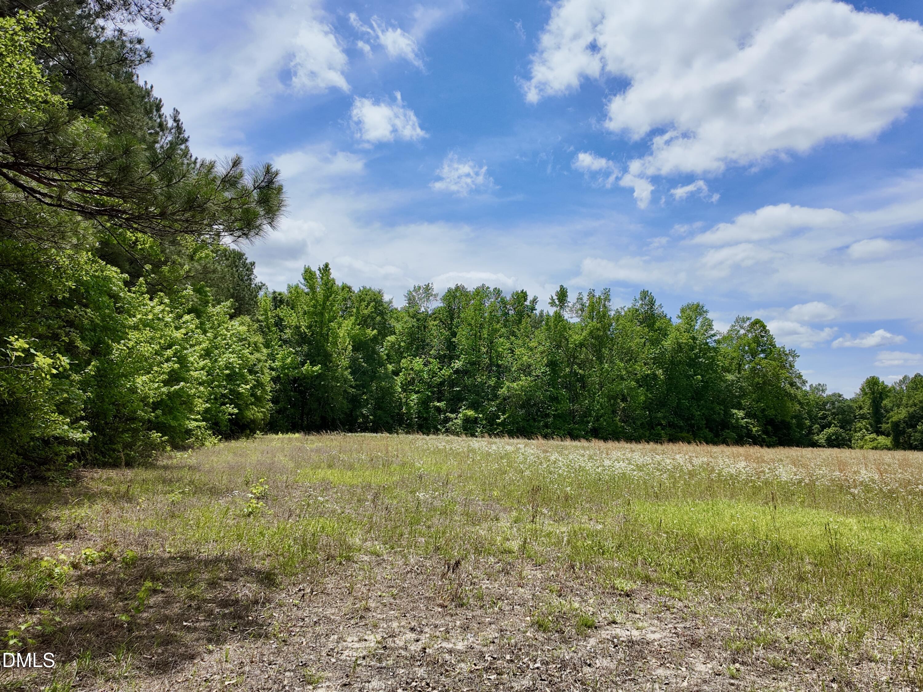 768 Bethesda Church Road Orrum, NC 28369 - Photo 47 of 91 a view of an outdoor space with a lake view