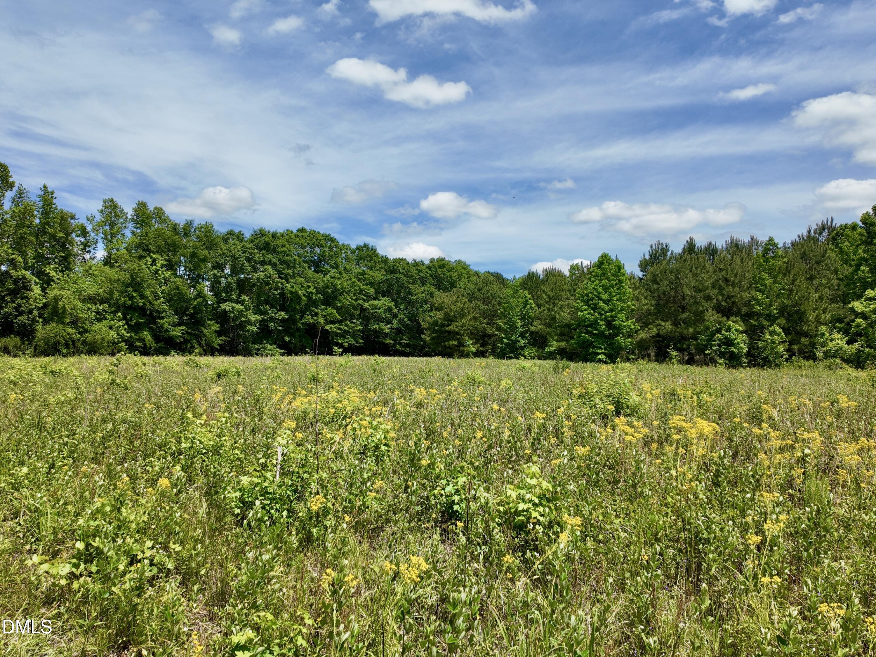 768 Bethesda Church Road Orrum, NC 28369 - Photo 48 of 91 37