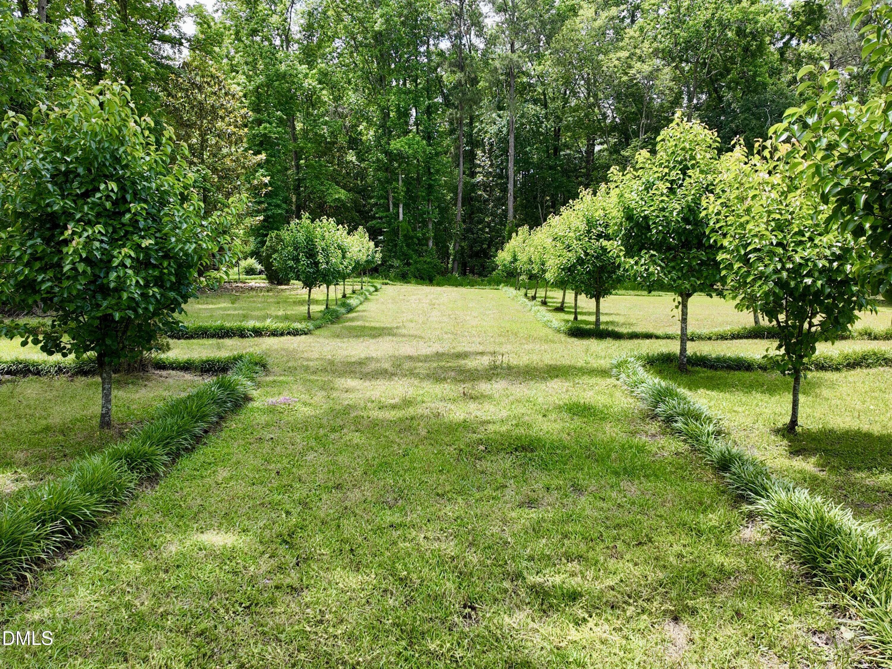 768 Bethesda Church Road Orrum, NC 28369 - Photo 63 of 91 a view of grassy field with trees