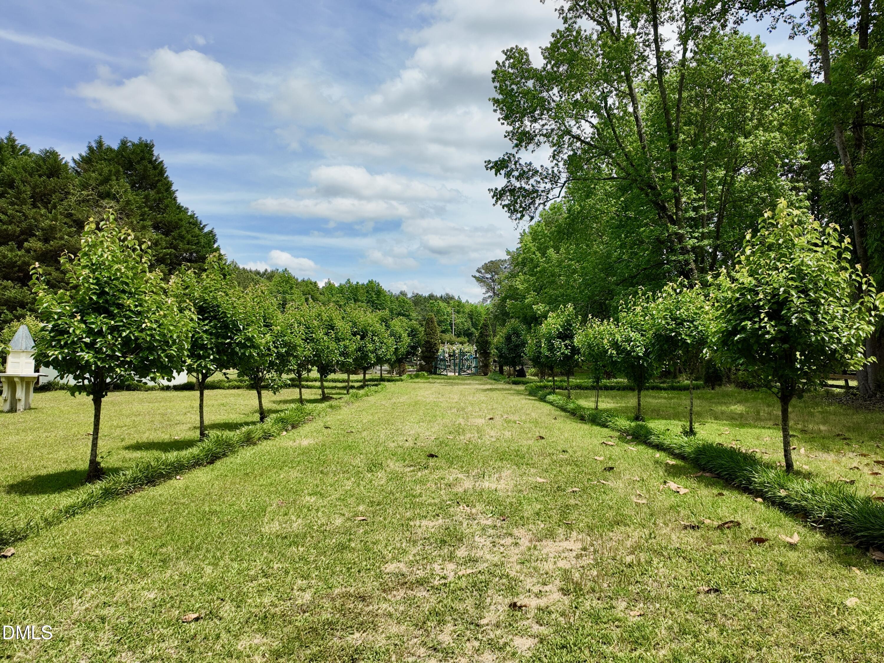 768 Bethesda Church Road Orrum, NC 28369 - Photo 64 of 91 a view of yard with grass and trees