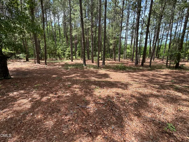 $2,100,000 | 768 Bethesda Church Road, Orrum, NC 28369