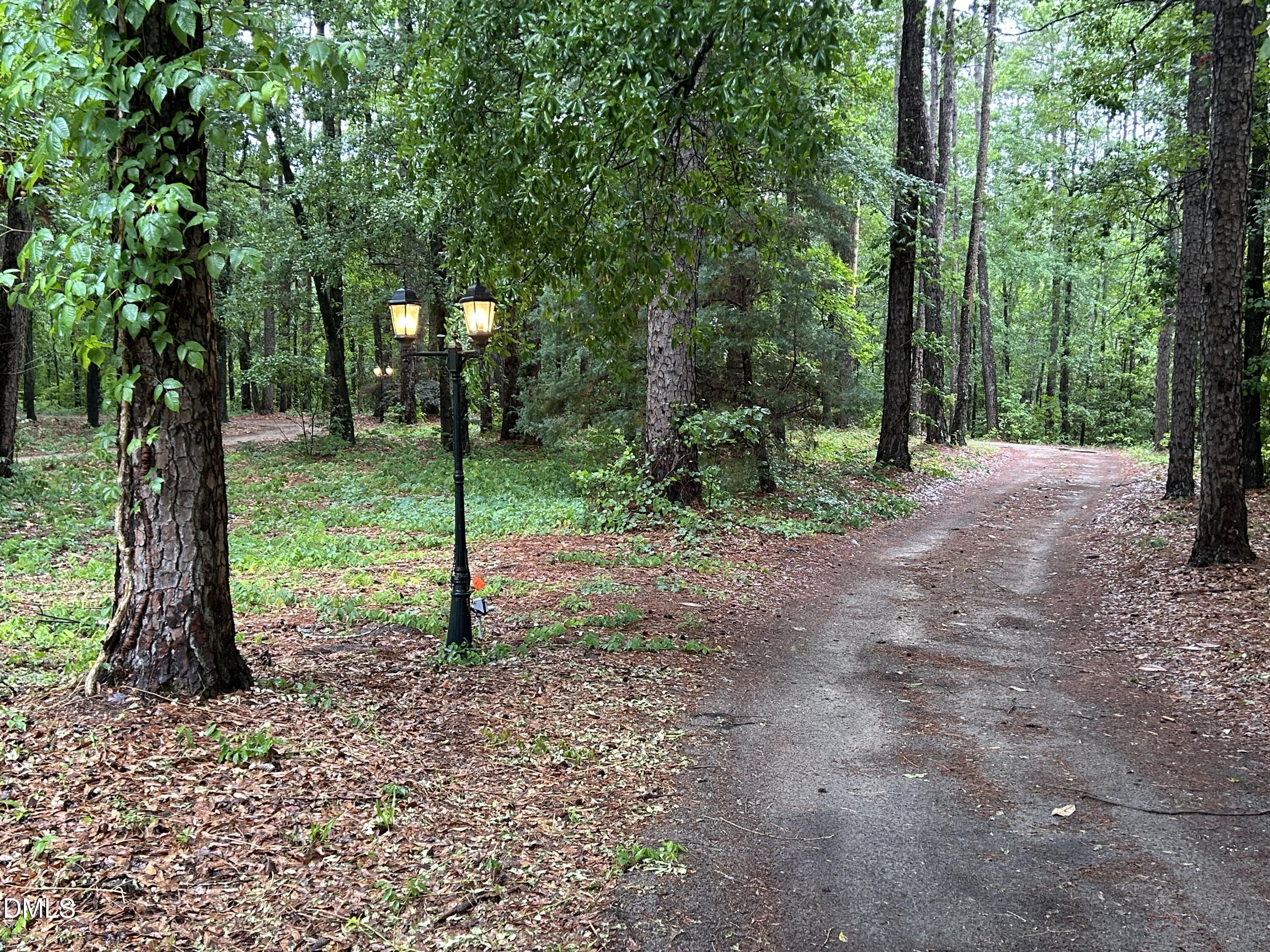 768 Bethesda Church Road Orrum, NC 28369 - Photo 77 of 91 67