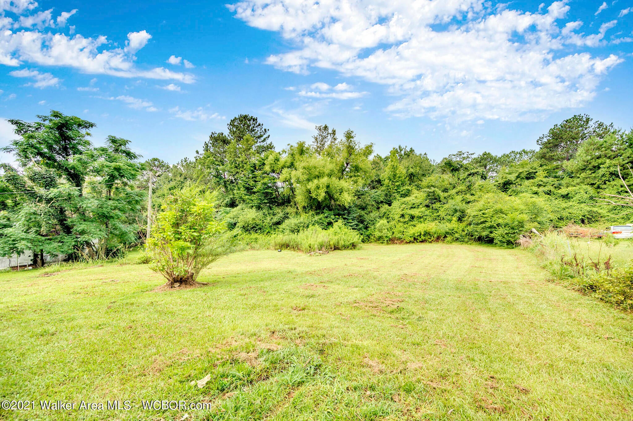 103 Sherer Loop Jasper, AL 35501 - Photo 17 of 19 Gallery Image 17