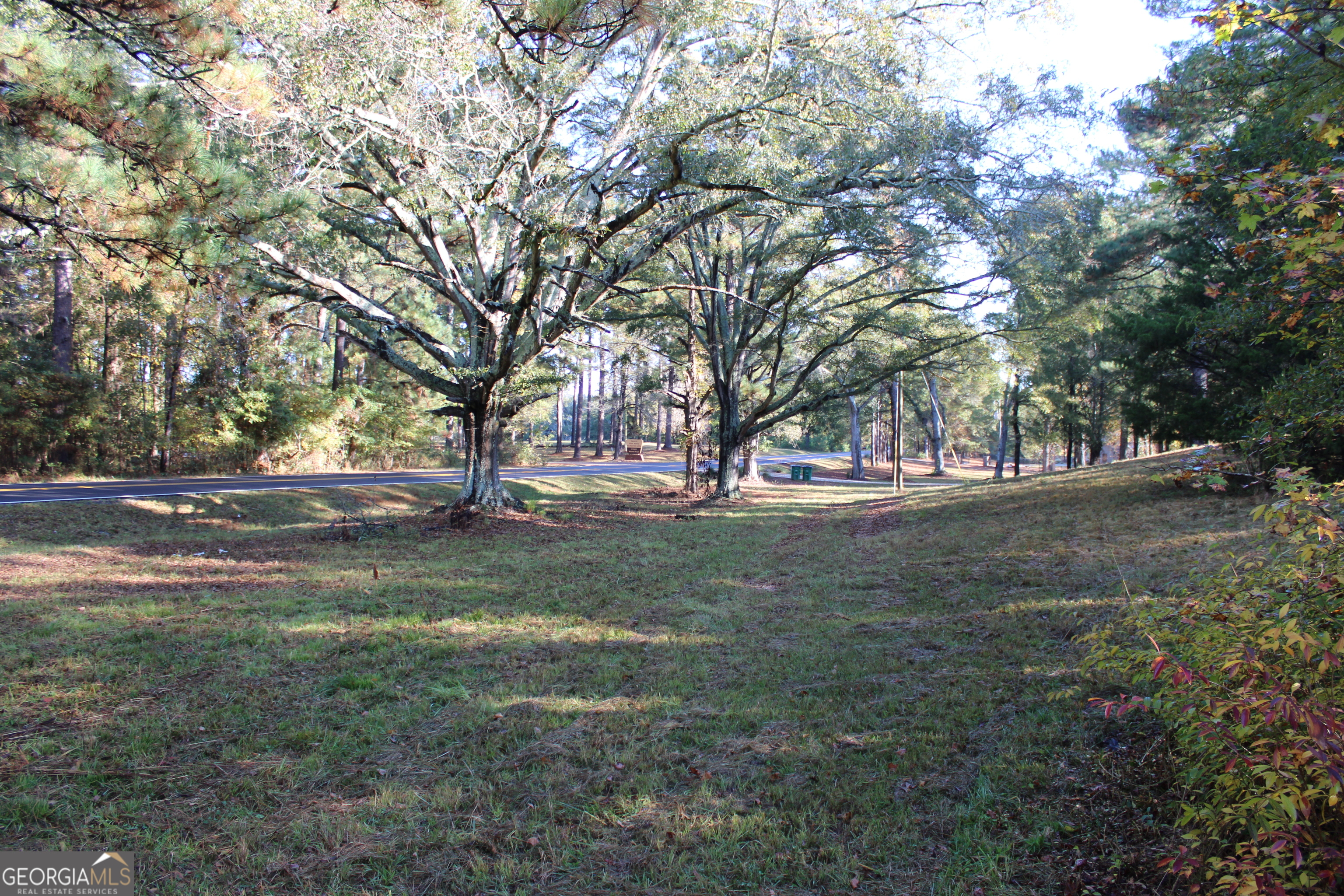 1701 Blue Springs Road Buckhead, GA 30625 - Photo 16 of 24 a view of outdoor space with trees