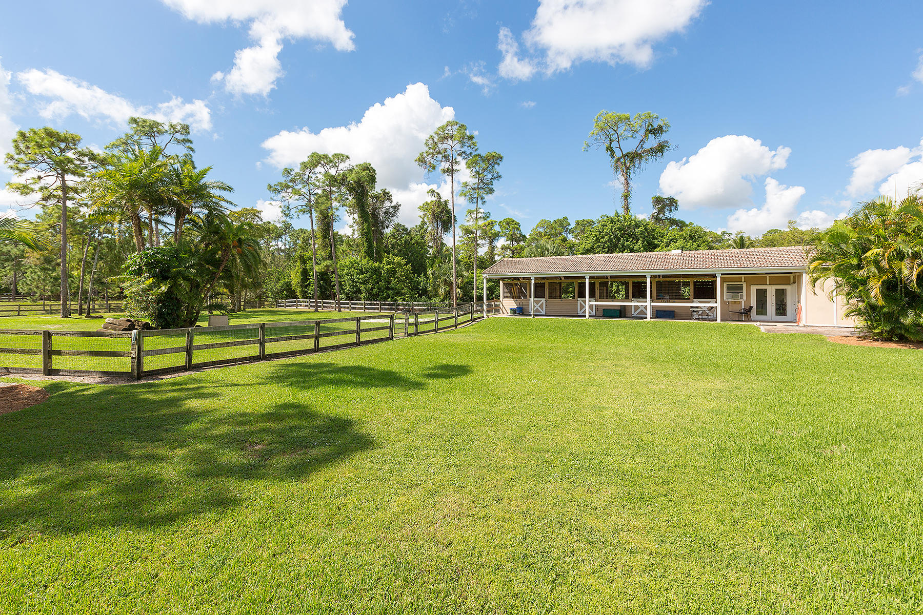 14356 Halter Road Wellington, FL 33414 - Photo 44 of 62 45BarnPaddocks1