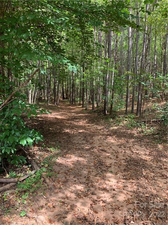 0 Edwards Road Rutherfordton, NC 28139 - Photo 1 of 6 a big yard with large trees