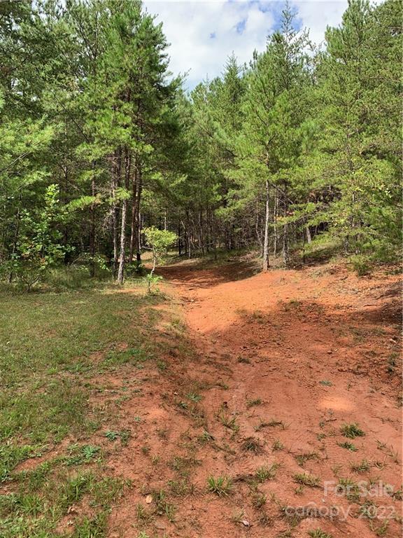 0 Edwards Road Rutherfordton, NC 28139 - Photo 2 of 6 a backyard of a house with lots of green space and fountain