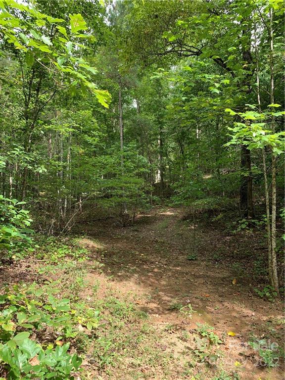 0 Edwards Road Rutherfordton, NC 28139 - Photo 3 of 6 a view of a yard with plants