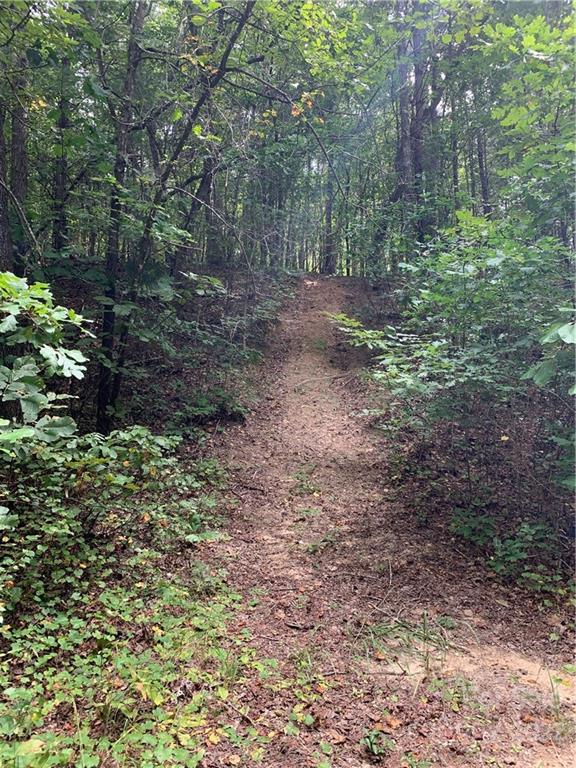 0 Edwards Road Rutherfordton, NC 28139 - Photo 4 of 6 a view of a forest with trees