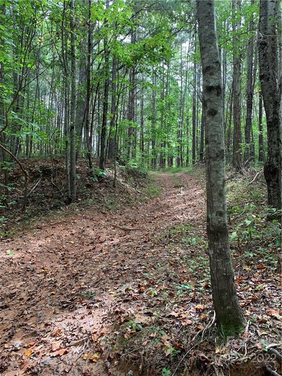 0 Edwards Road Rutherfordton, NC 28139 - Photo 5 of 6 a view of a forest that has large trees