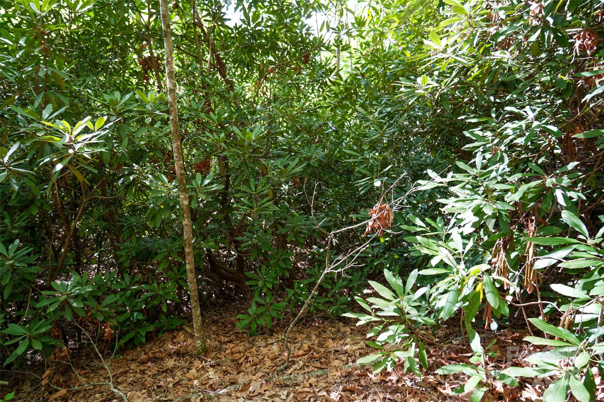 56 Hidden Valley Road Clyde, NC 28721 - Photo 15 of 30 Gallery Image 15