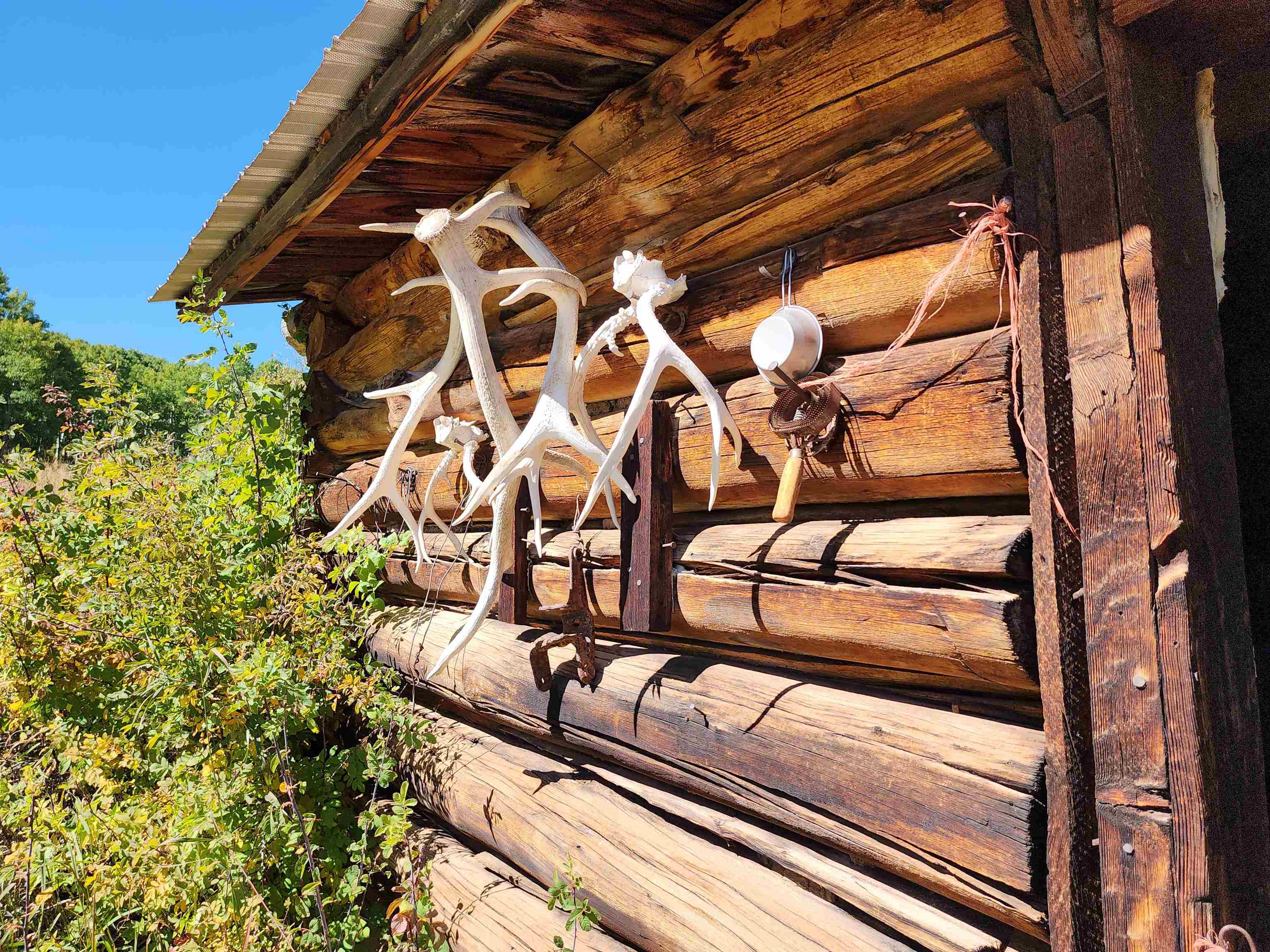 2586-26 26 1/10 Road Whitewater, CO 81527 - Photo 13 of 42