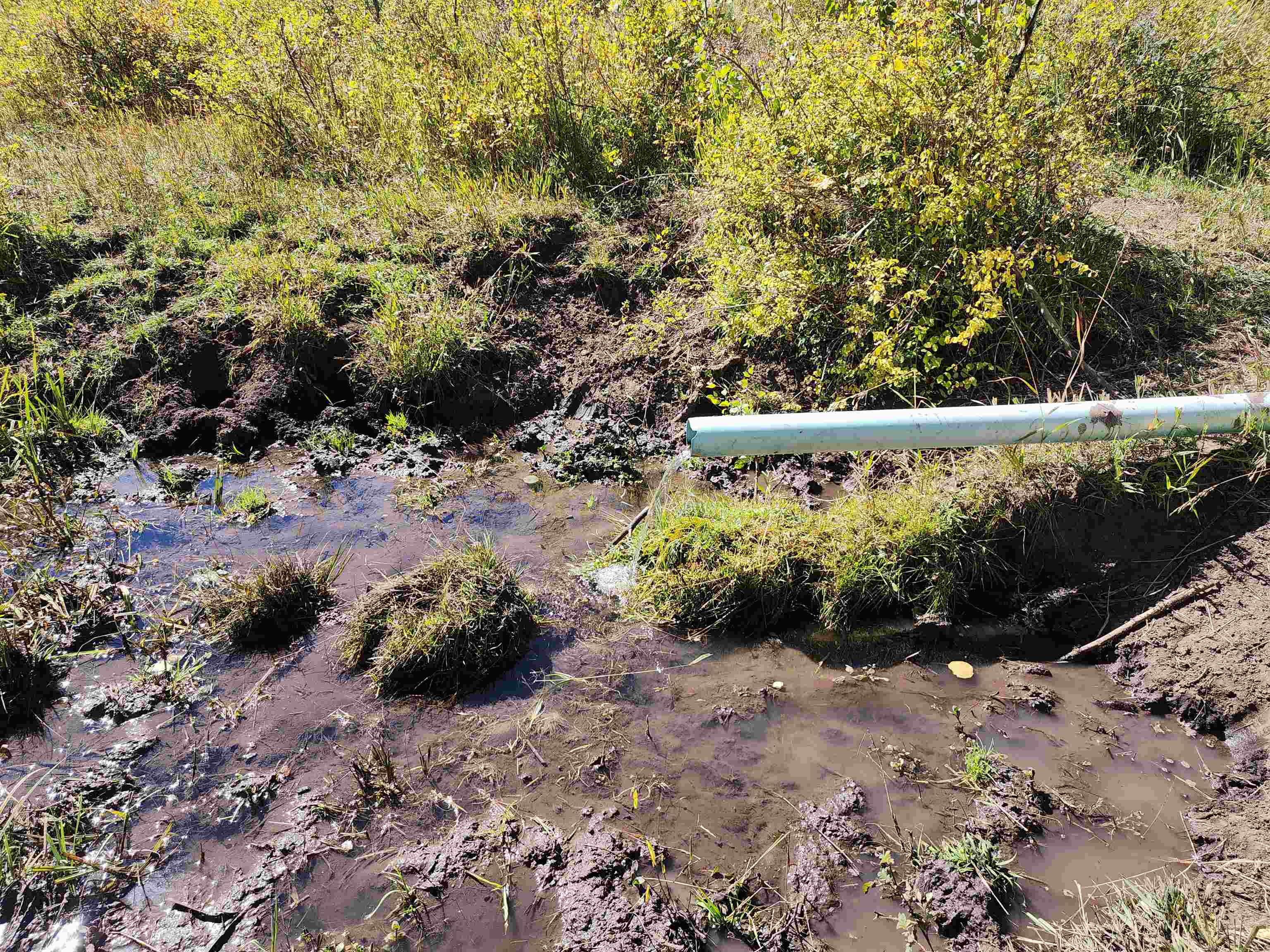 2586-26 26 1/10 Road Whitewater, CO 81527 - Photo 15 of 42 a view of a pathway with a bench