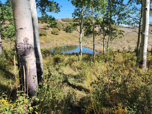 a view of a large body of water with a building in the background