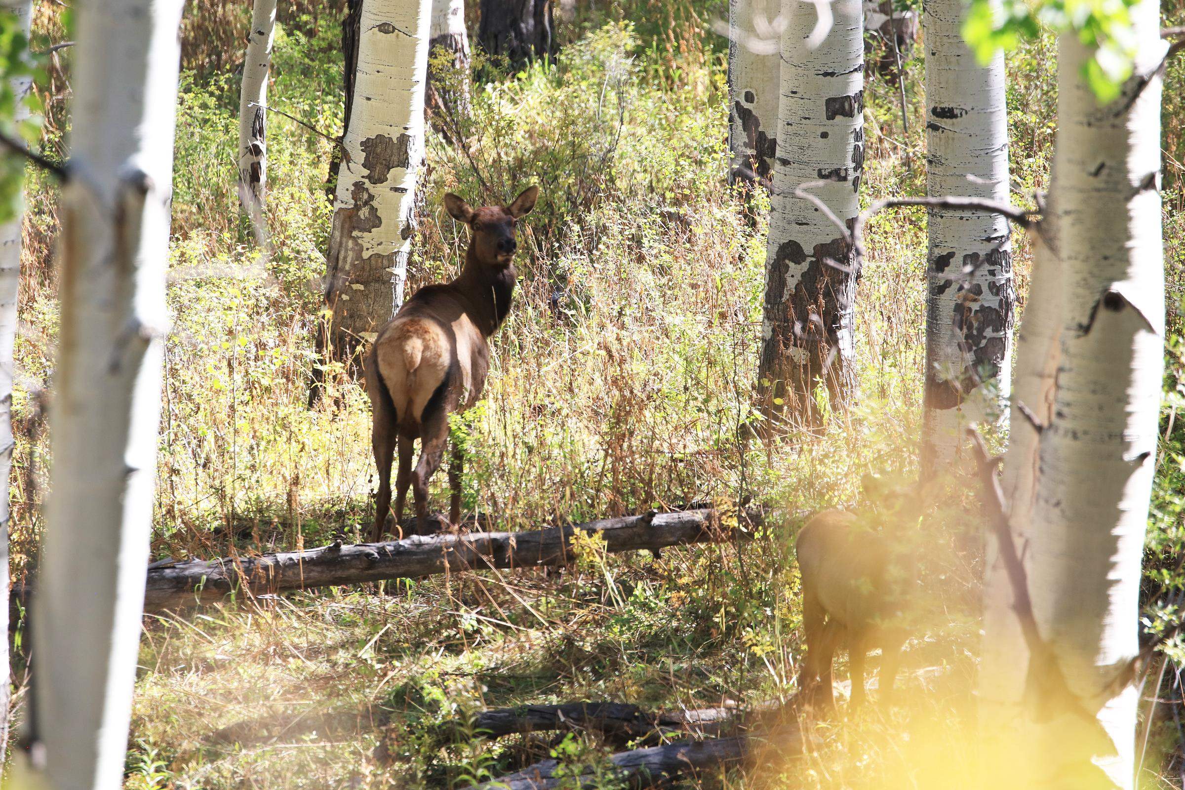 2586-26 26 1/10 Road Whitewater, CO 81527 - Photo 23 of 42 a view of a pathway of a building