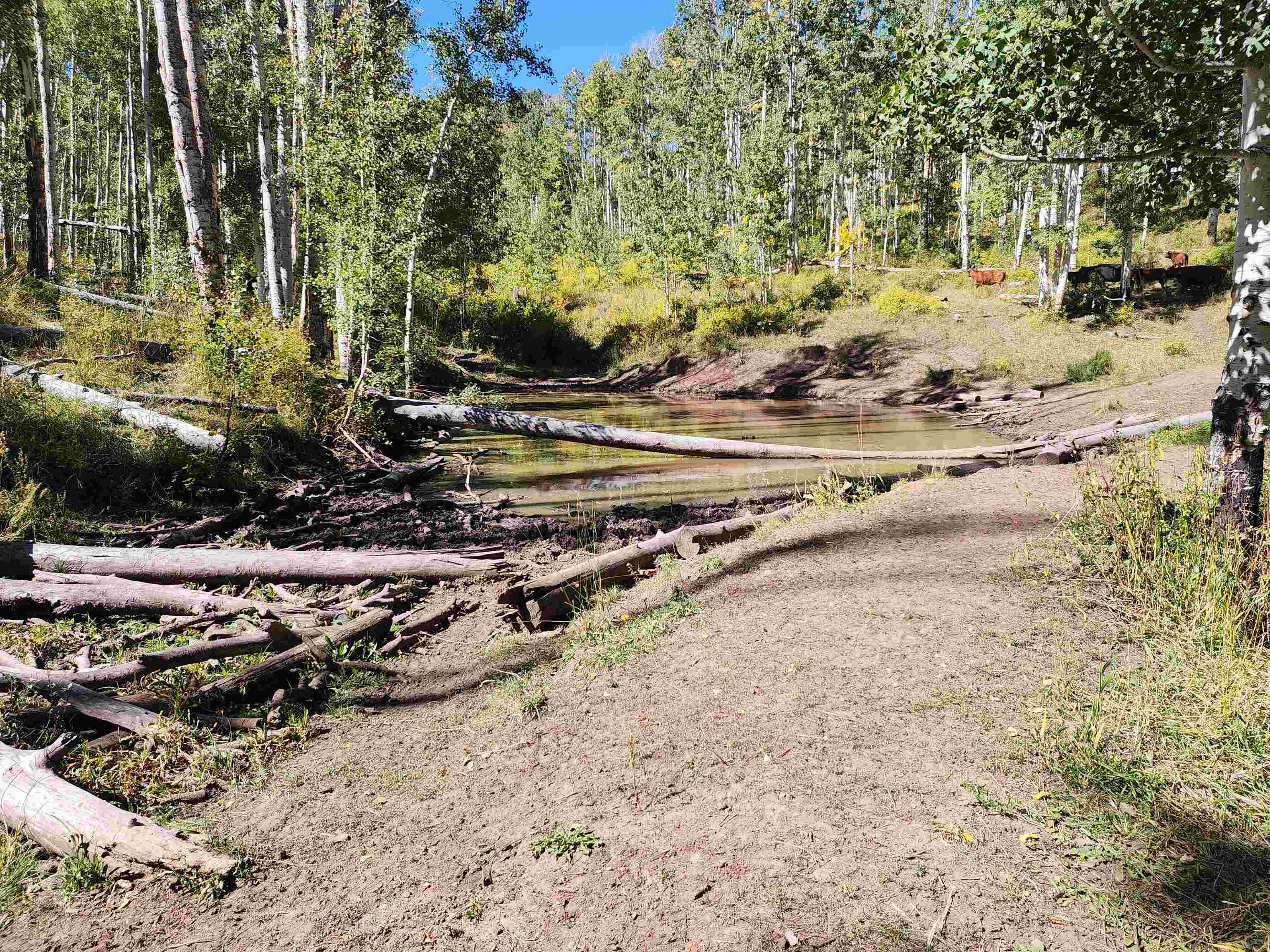 2586-26 26 1/10 Road Whitewater, CO 81527 - Photo 38 of 42 a view of a yard with wooden fence