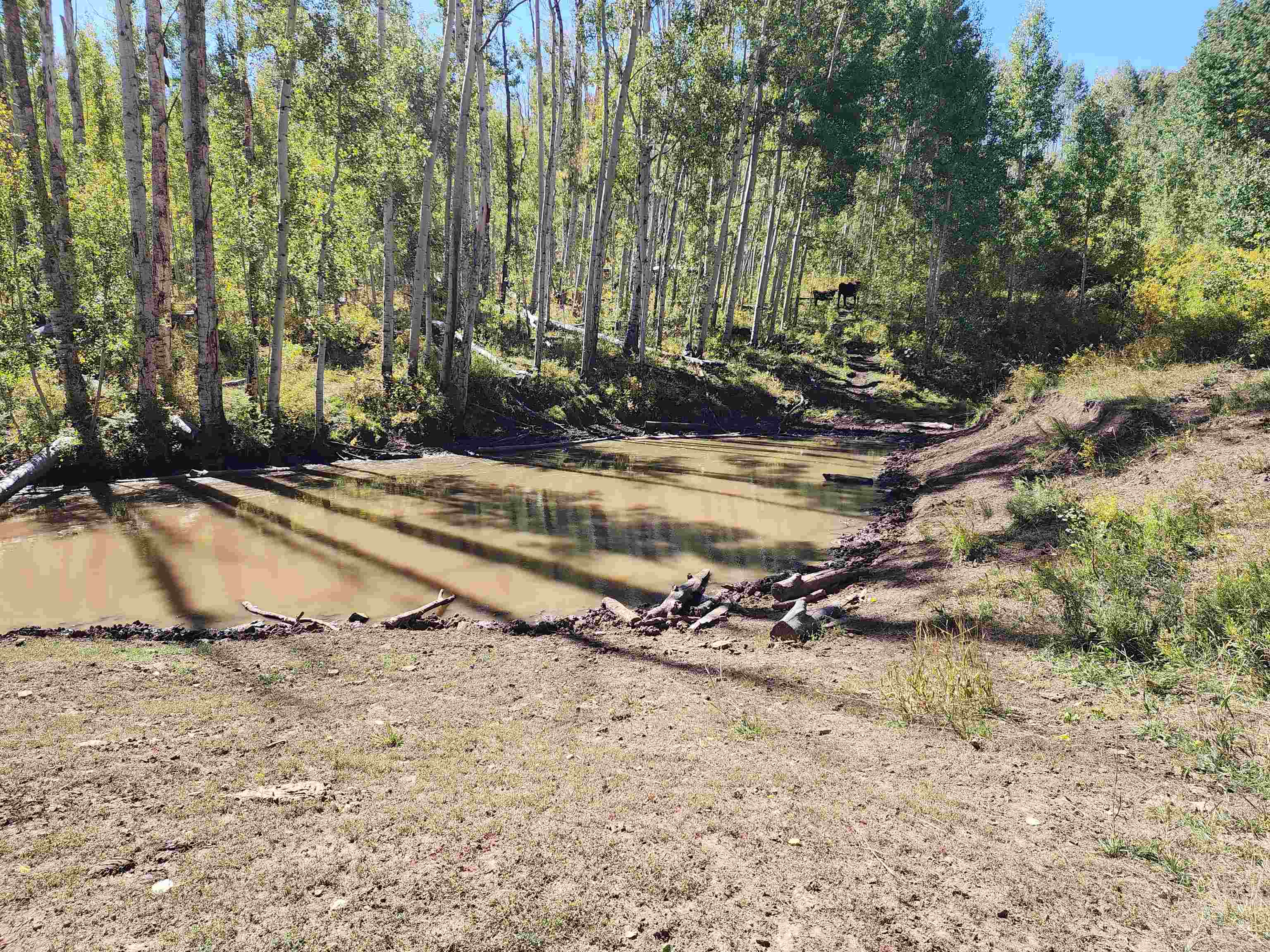 2586-26 26 1/10 Road Whitewater, CO 81527 - Photo 39 of 42 a view of a backyard of a house