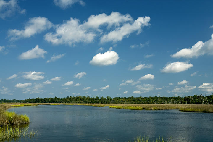 Lot 26 Duck Club Road, Unit LOT 26 Ravenel, SC 29470 - Photo 1 of 63 Rantowles Creek