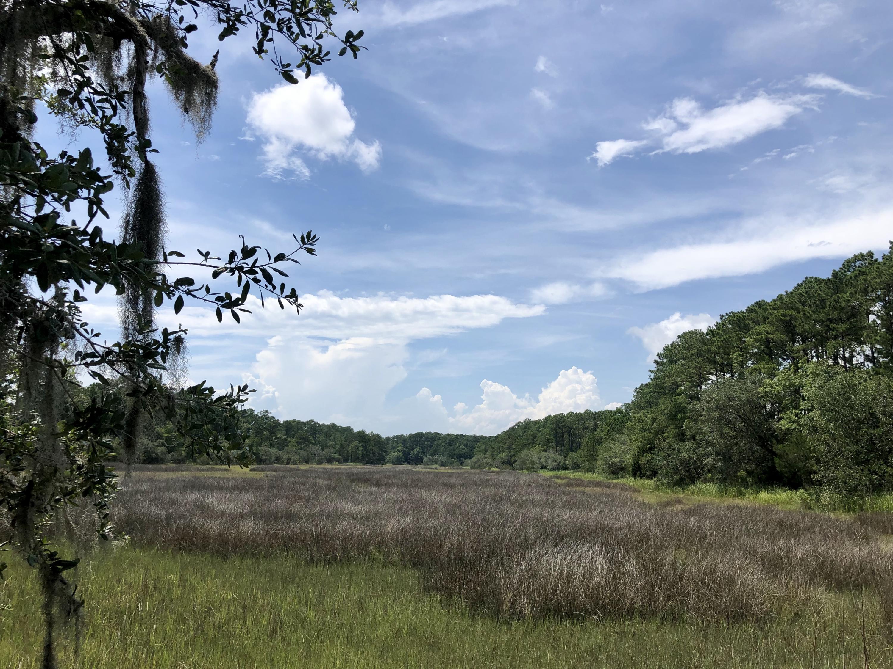 Lot 26 Duck Club Road, Unit LOT 26 Ravenel, SC 29470 - Photo 2 of 63 128D1CA4-A8A8-4706-B44B-A77E5B520BD8