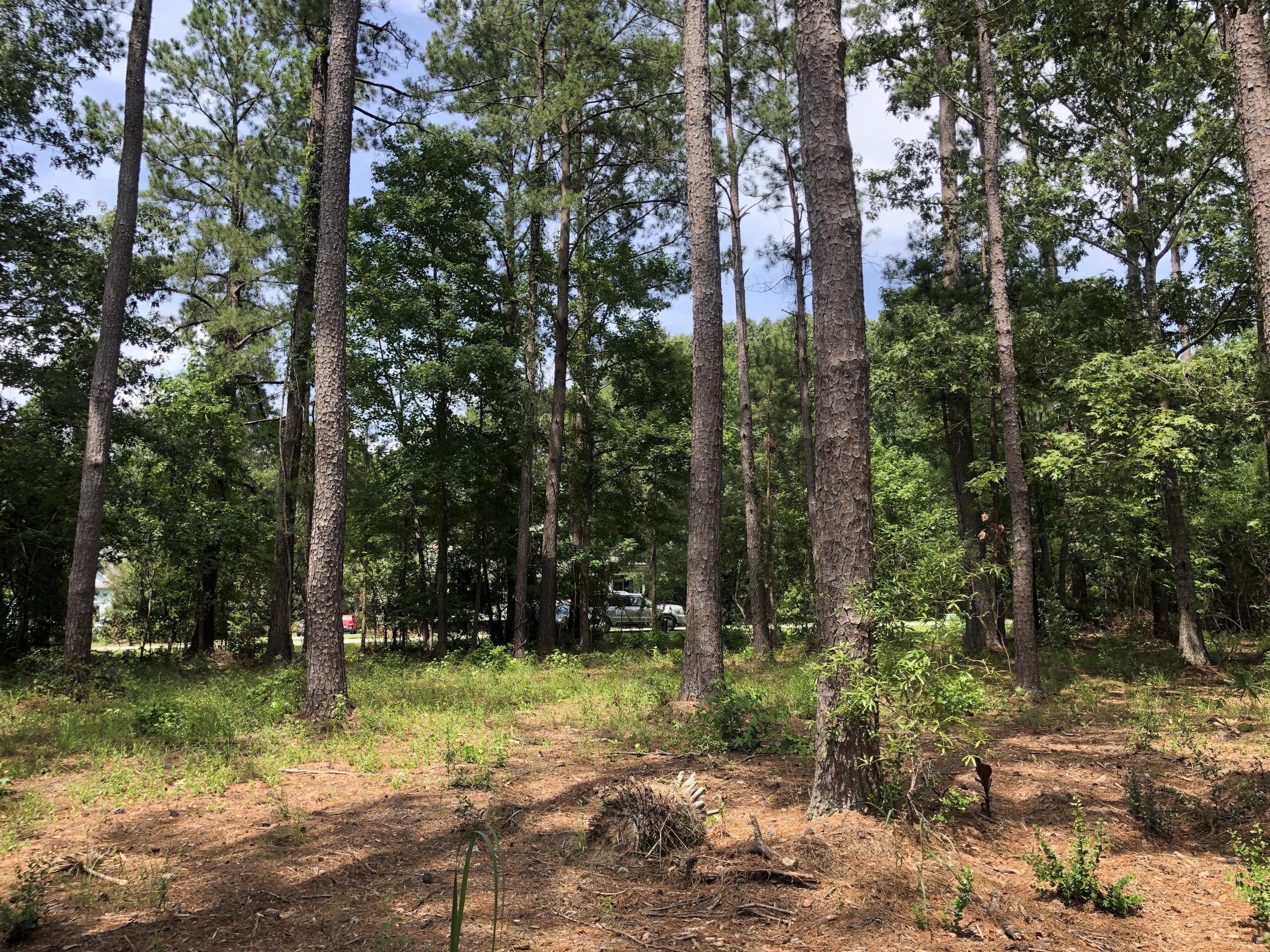 Lot 26 Duck Club Road, Unit LOT 26 Ravenel, SC 29470 - Photo 12 of 63 295319D5-C183-4881-AB5B-1BAC05D5A9CB