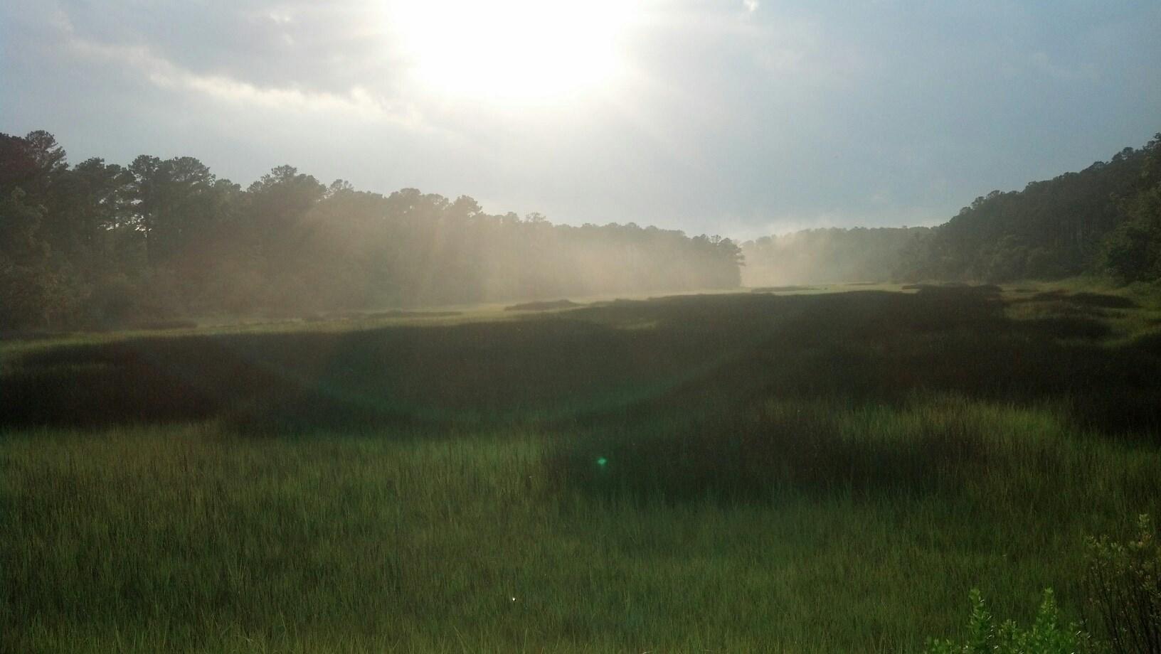 Lot 26 Duck Club Road, Unit LOT 26 Ravenel, SC 29470 - Photo 14 of 63 Marsh behind Duck Club lot