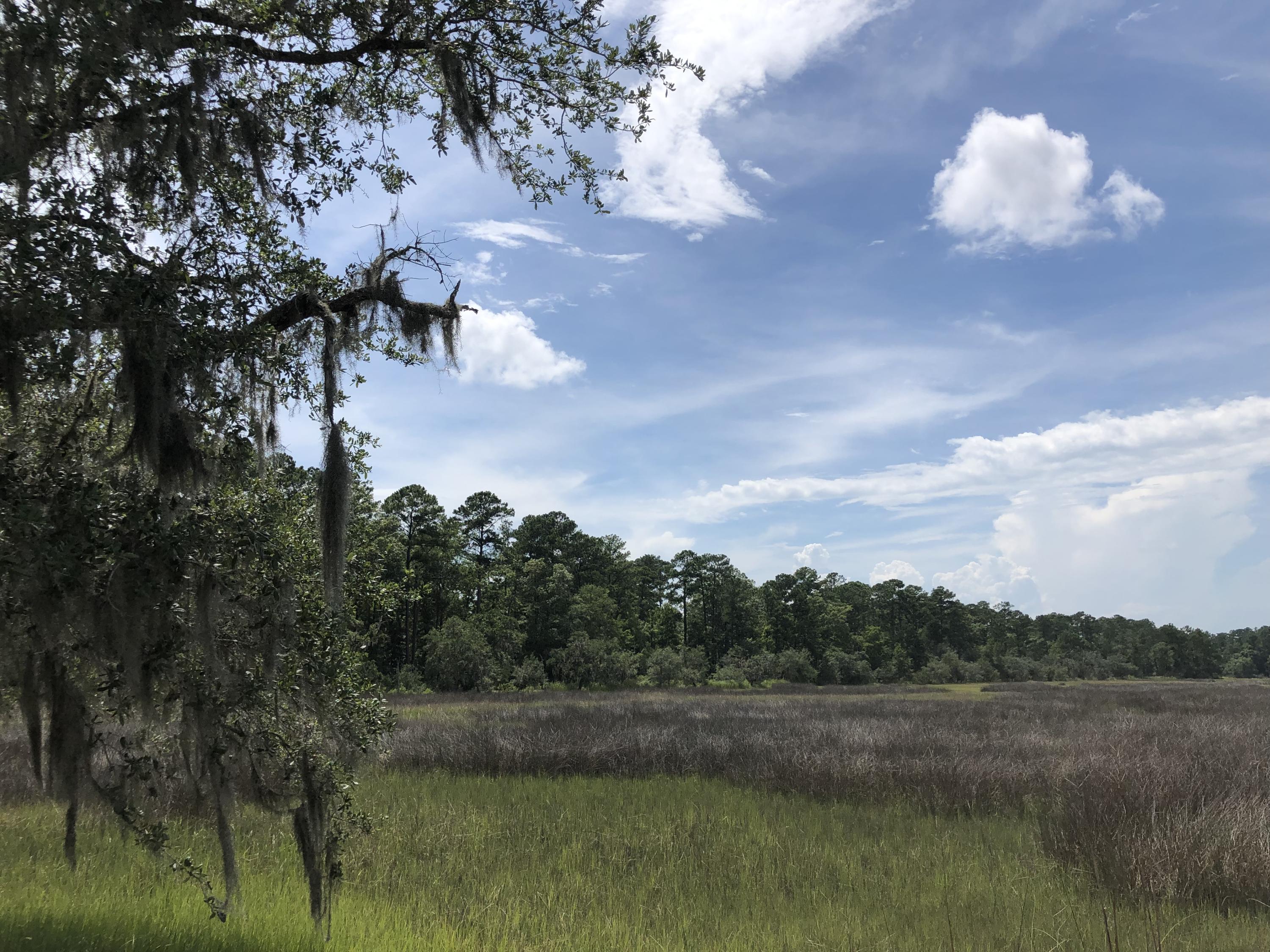 Lot 26 Duck Club Road, Unit LOT 26 Ravenel, SC 29470 - Photo 3 of 63 B89DE57D-05DC-42D5-8B6A-39ED723B6877
