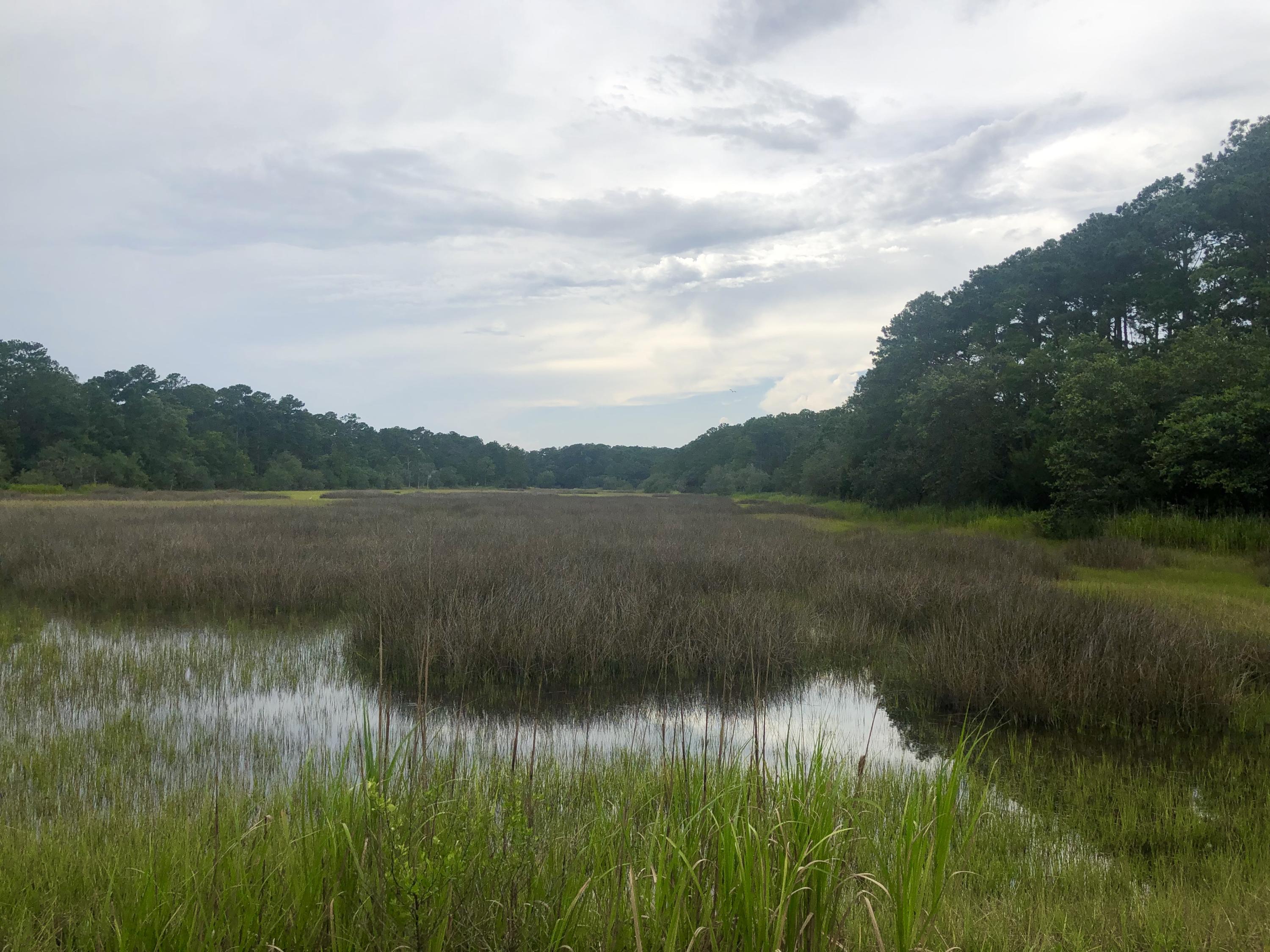 Lot 26 Duck Club Road, Unit LOT 26 Ravenel, SC 29470 - Photo 4 of 63 BEA003AB-D96B-4D0D-AFB2-059306A1EFA6
