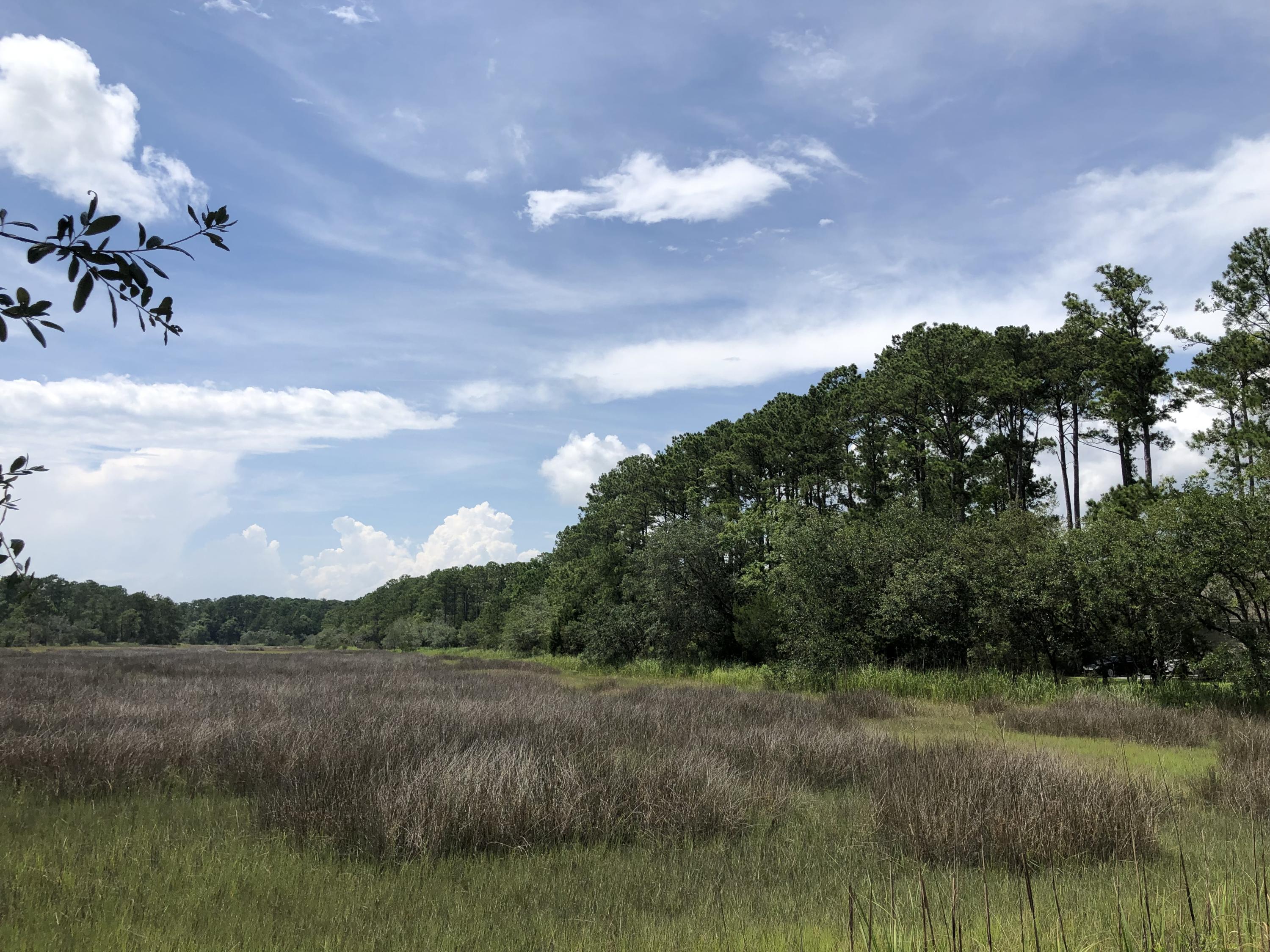 Lot 26 Duck Club Road, Unit LOT 26 Ravenel, SC 29470 - Photo 5 of 63 019D058B-D431-4DDC-A48C-002BBE1E3557