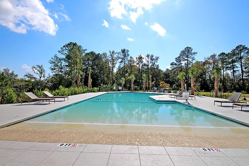 Lot 26 Duck Club Road, Unit LOT 26 Ravenel, SC 29470 - Photo 47 of 63 Pool4