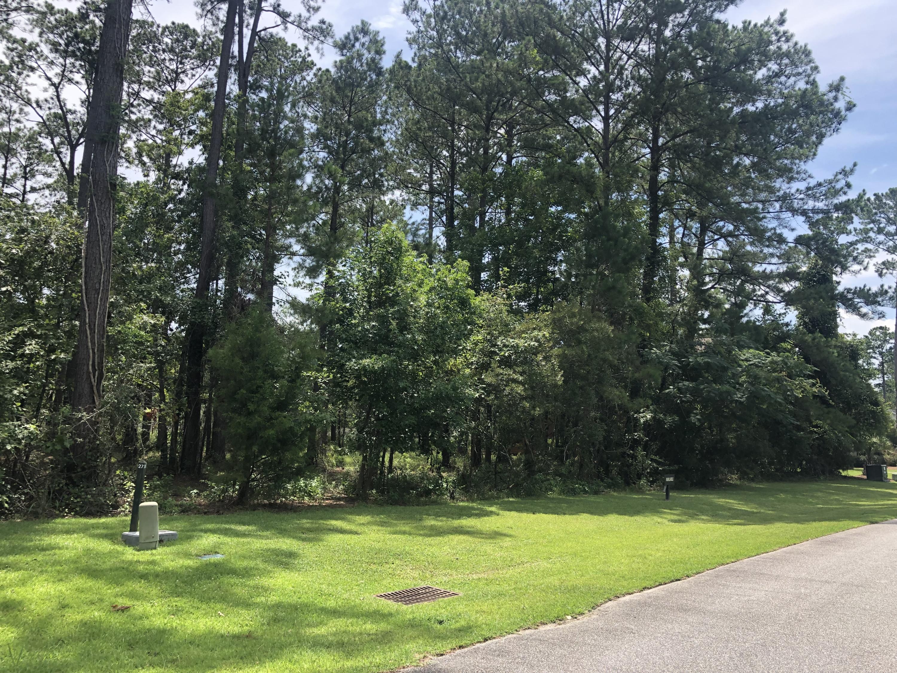 Lot 26 Duck Club Road, Unit LOT 26 Ravenel, SC 29470 - Photo 6 of 63 6800467C-DAC6-46CD-923F-086E4CD89A7E