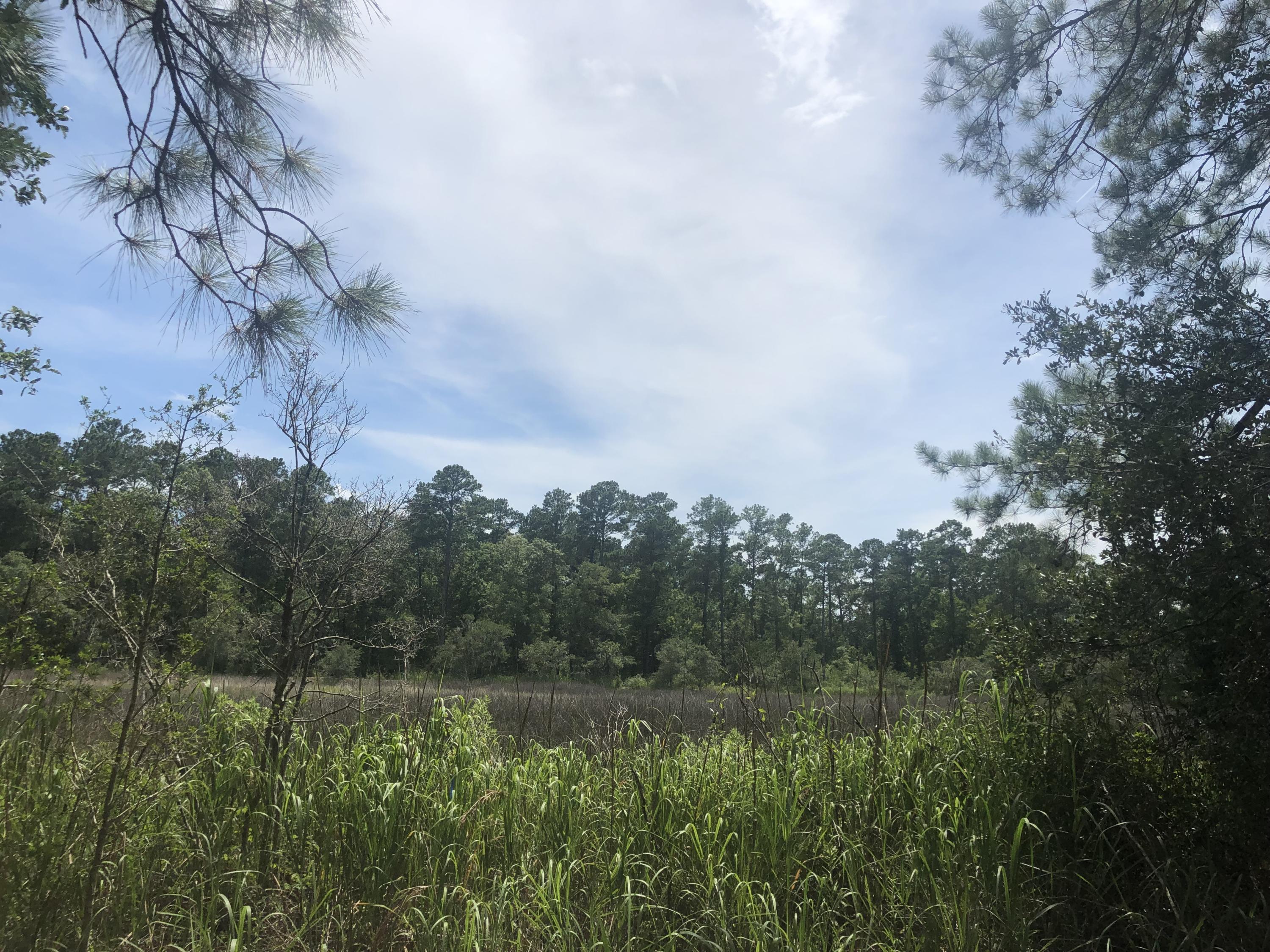 Lot 26 Duck Club Road, Unit LOT 26 Ravenel, SC 29470 - Photo 7 of 63 56B445A2-8DA7-4B44-8741-9D6C3571F6F5