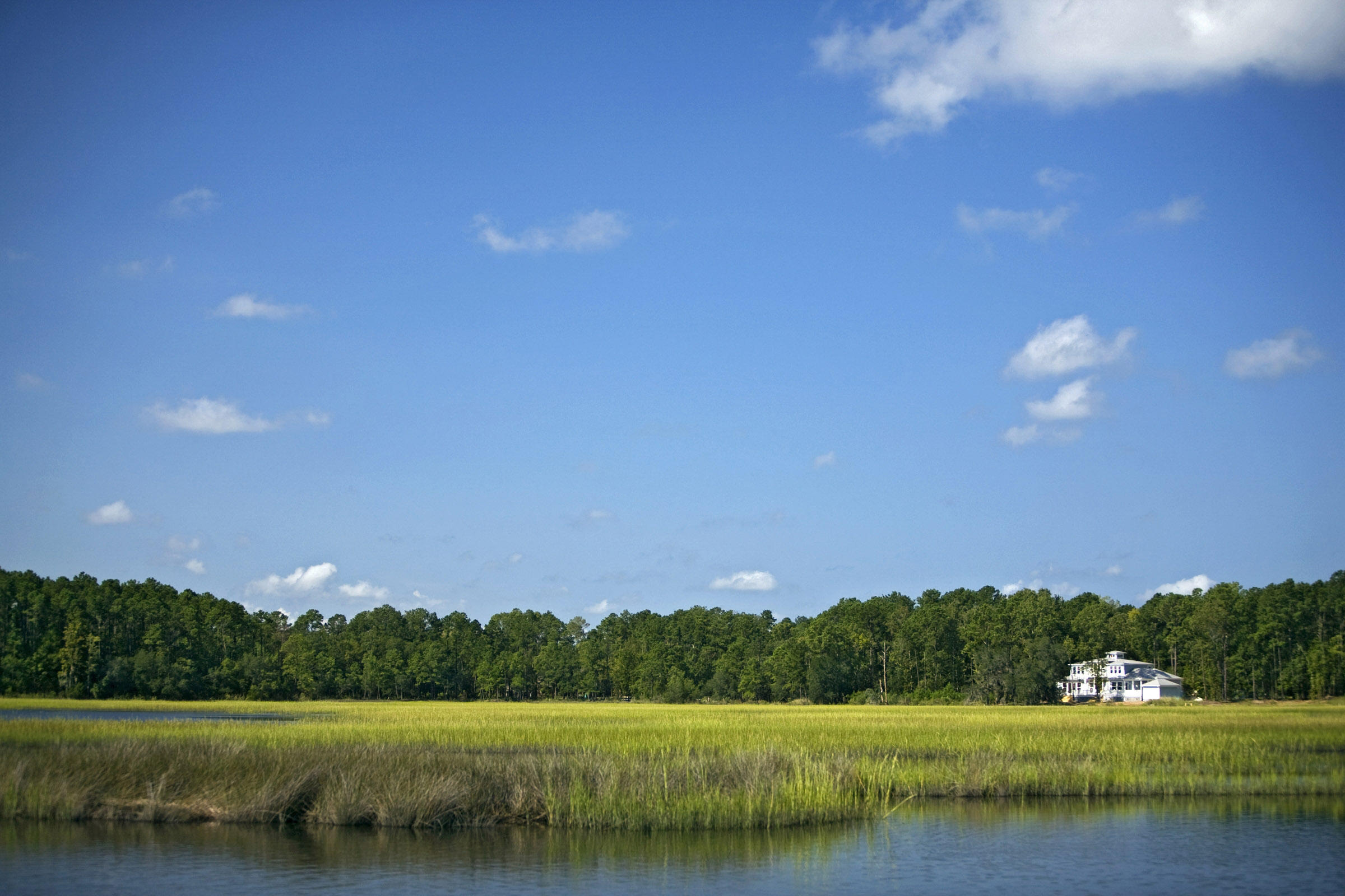 Lot 26 Duck Club Road, Unit LOT 26 Ravenel, SC 29470 - Photo 63 of 63 Marsh 4