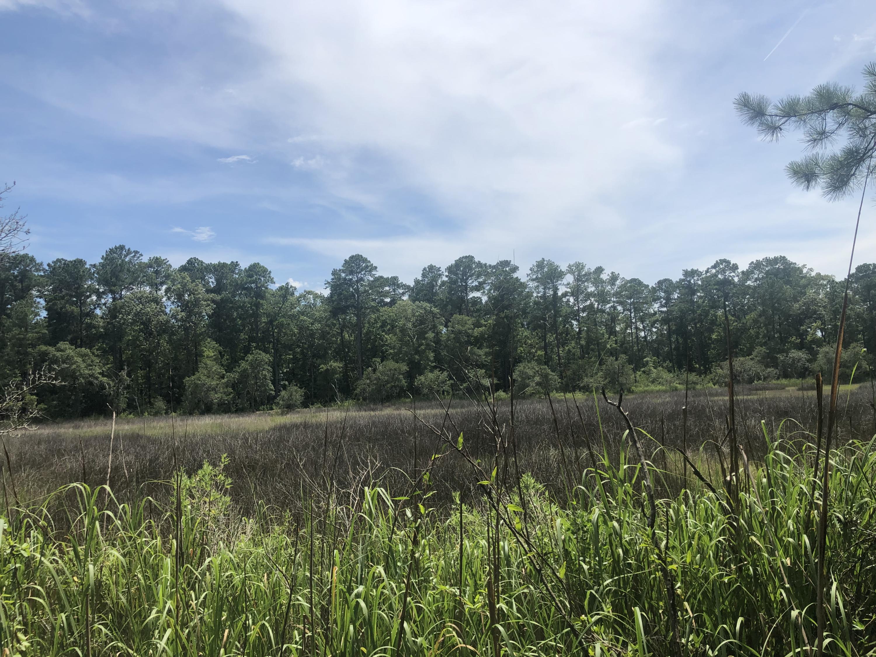 Lot 26 Duck Club Road, Unit LOT 26 Ravenel, SC 29470 - Photo 8 of 63 F55B6A75-820F-45C2-8E45-7AE610D19A8E