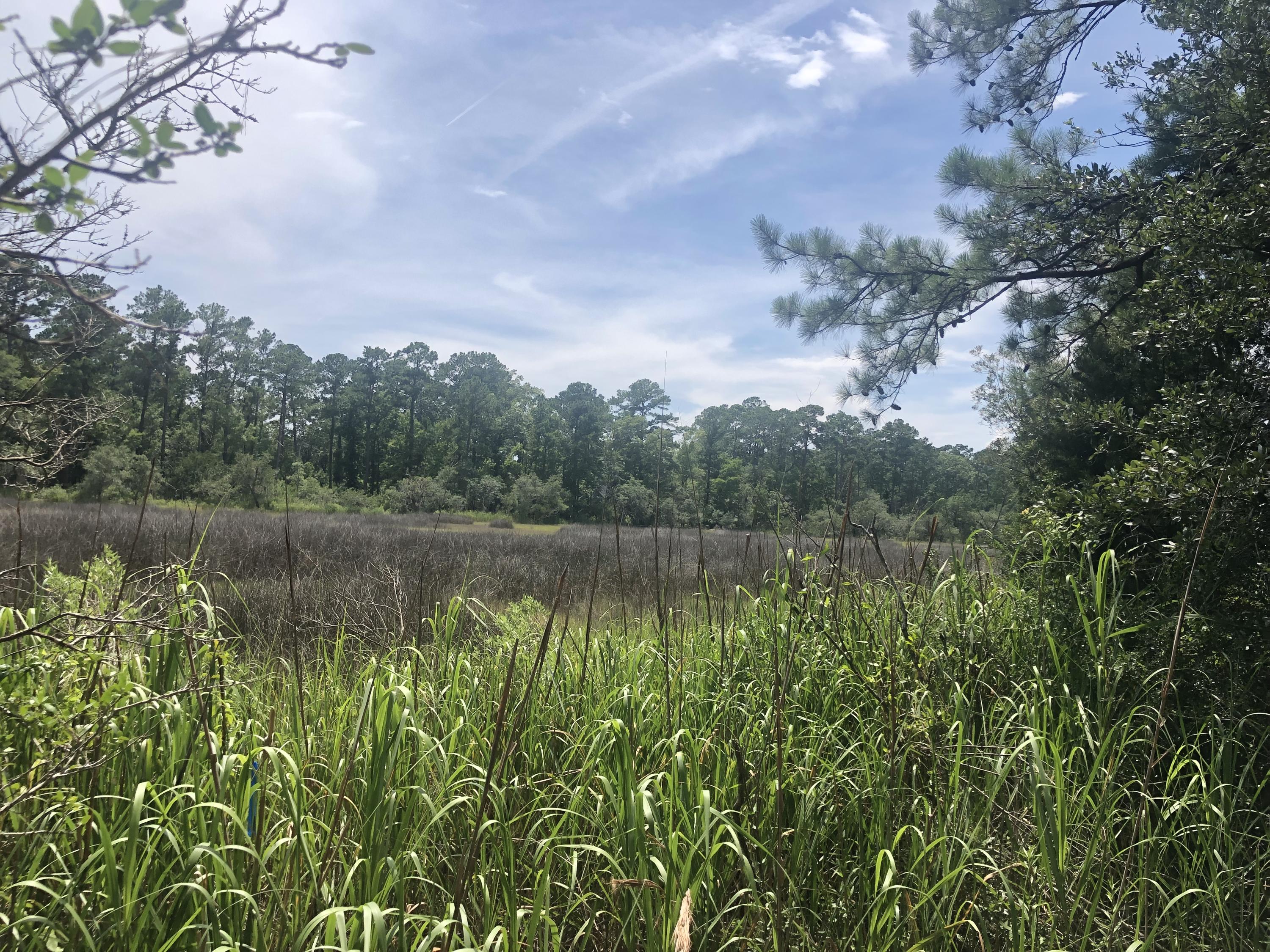 Lot 26 Duck Club Road, Unit LOT 26 Ravenel, SC 29470 - Photo 9 of 63 DE42DB43-9CFE-4AEB-9D1F-342B6766B086