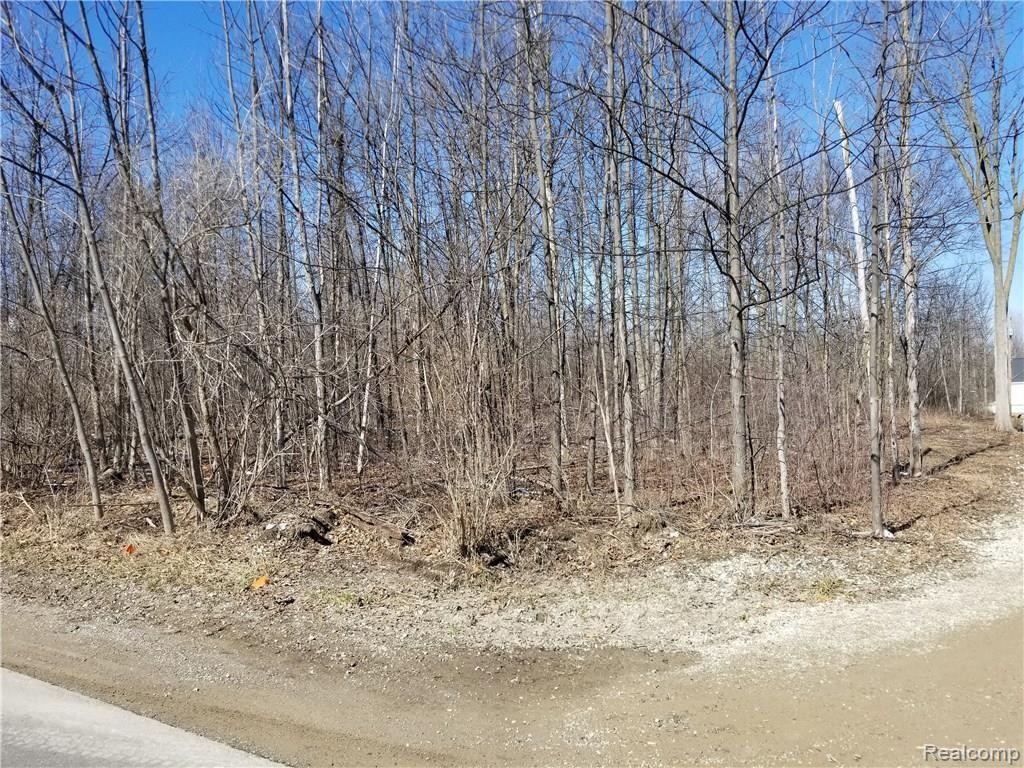 0 Wiggins Road Fenton, MI 48430 - Photo 4 of 7