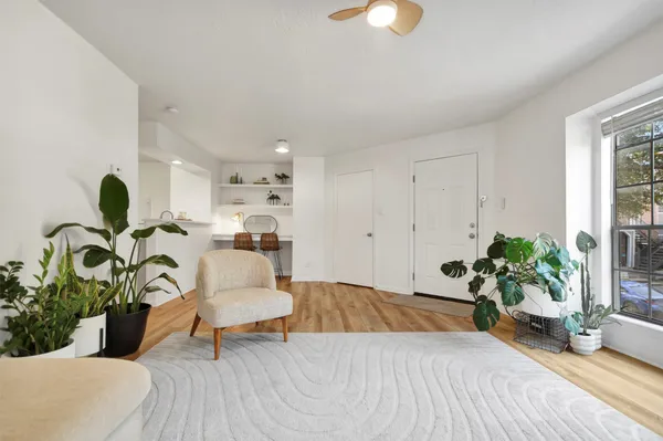a living room with furniture potted plant and a window