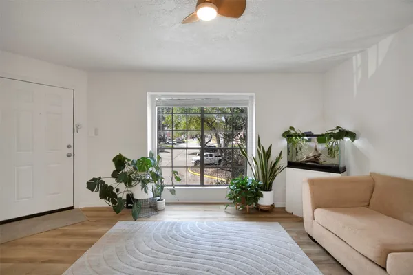 a living room with furniture and a potted plant