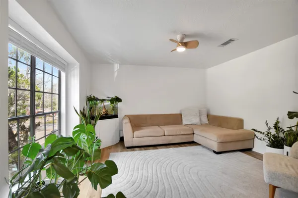 a living room with furniture and a potted plant