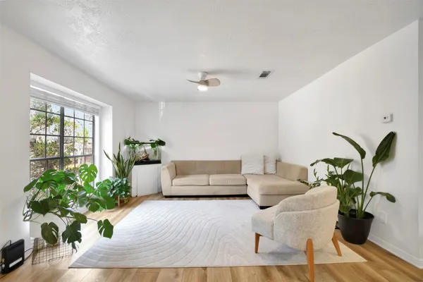 a living room with furniture and a potted plant