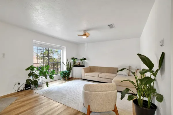 a living room with furniture potted plant and windows