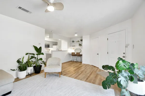 a living room with furniture potted plant and wooden floor