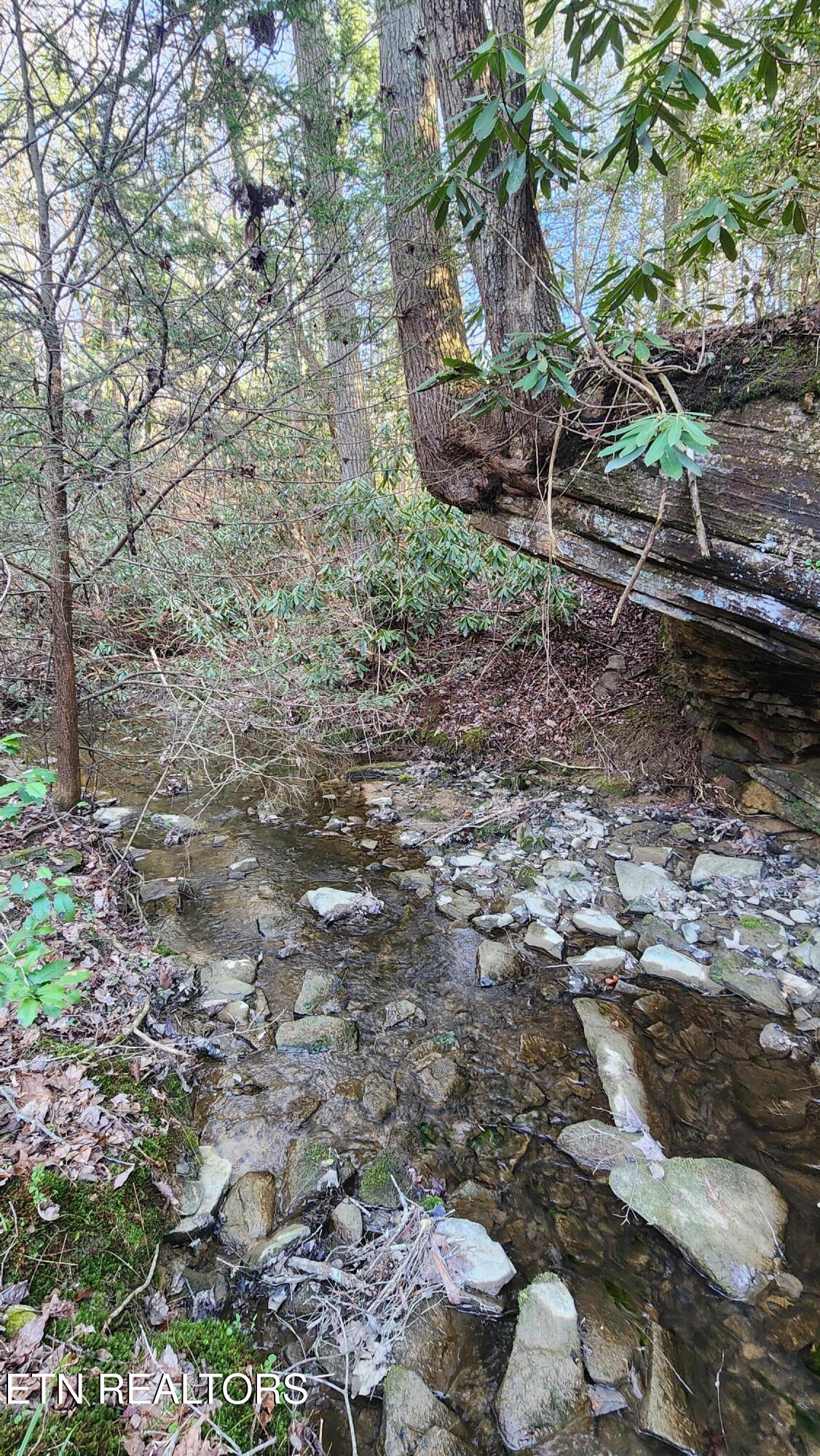 407 Ramsey Road Winfield, TN 37892 - Photo 26 of 33 20240321_174323