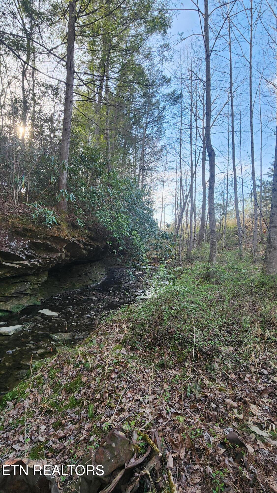 407 Ramsey Road Winfield, TN 37892 - Photo 27 of 33 20240321_174340