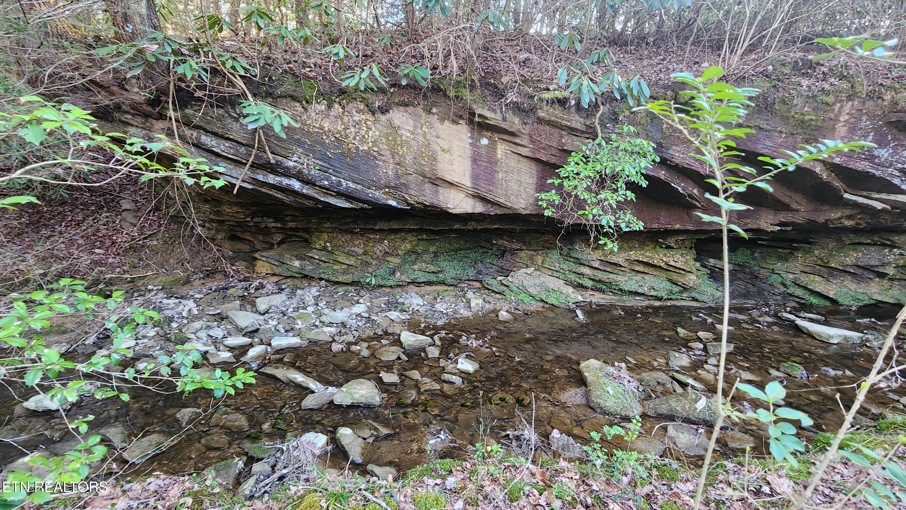 407 Ramsey Road Winfield, TN 37892 - Photo 28 of 33 20240321_174346